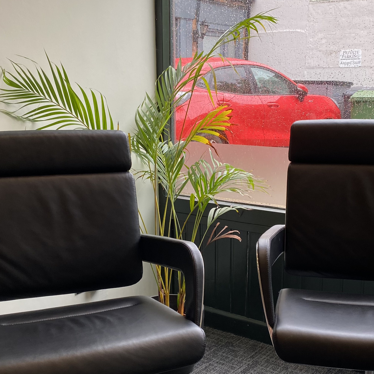 Parlour Palm plant photo by @yodmoo named The thin office one on Greg, the plant care app.