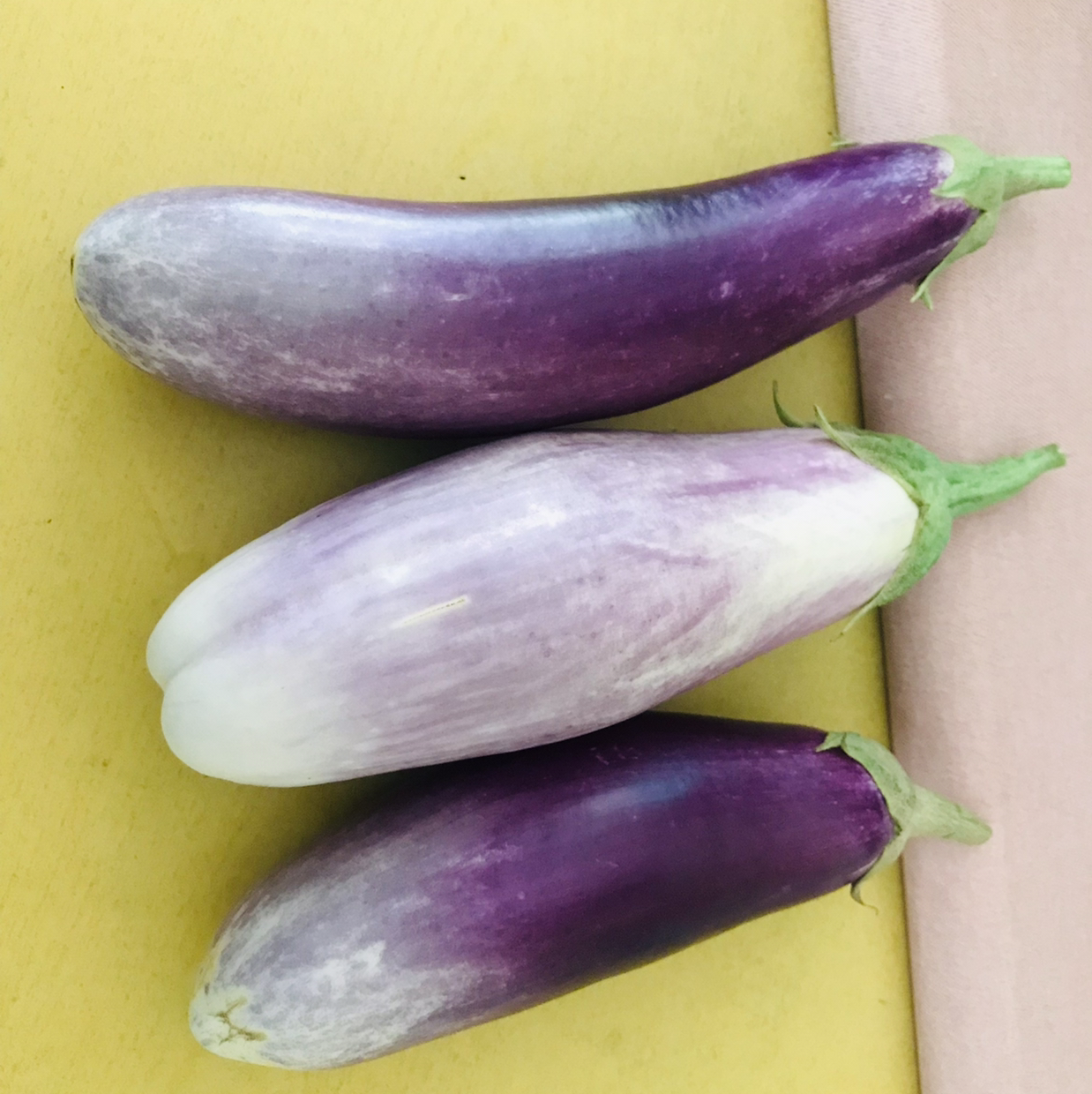 Three healthy eggplants with purple and white coloration.