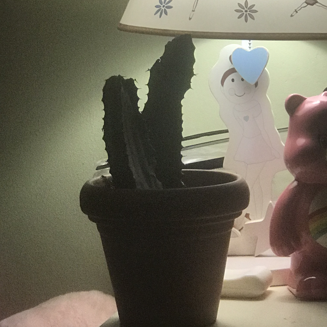 Potted Pleated Cereus cactus with ribbed stems, dim lighting, background includes a lamp and figurine.