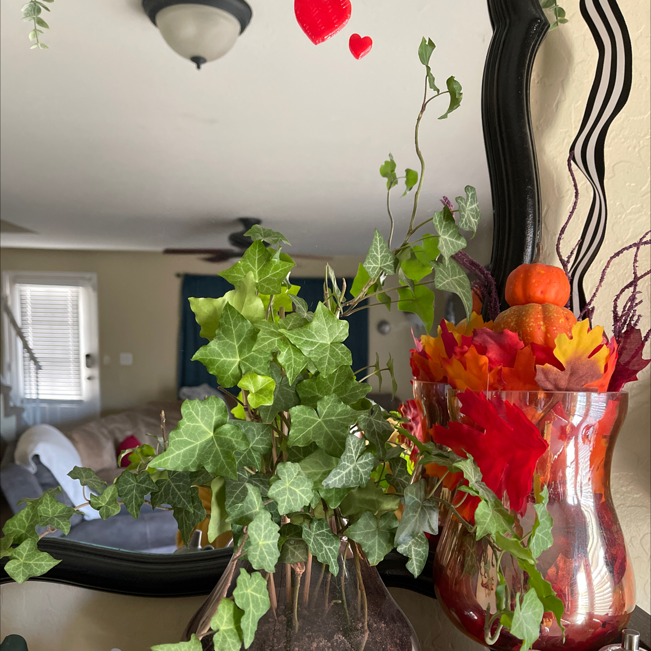 Healthy English Ivy houseplant in hanging planter with red floral arrangement on shelf with mirror and decor in background.