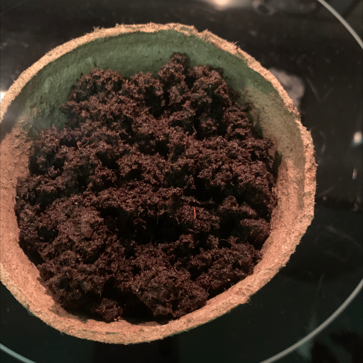 Close up of brown potting soil mix in a round pot, with no plant visible