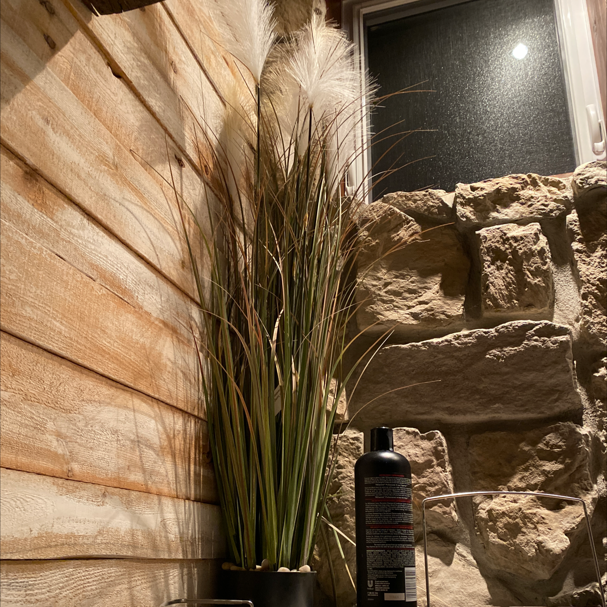 Potted Pampas Grass plant indoors near stone wall and wooden paneling.