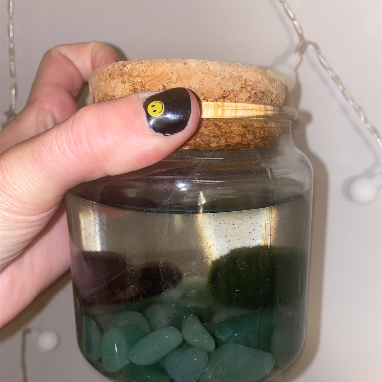 Marimo plant photo by @Rosegarden named Mr. Mossby on Greg, the plant care app.