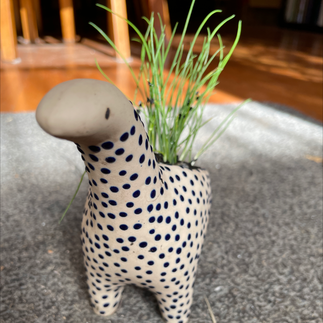 Photo of the plant species Wild Chives by @lyndal named Jeeves on Greg, the plant care app