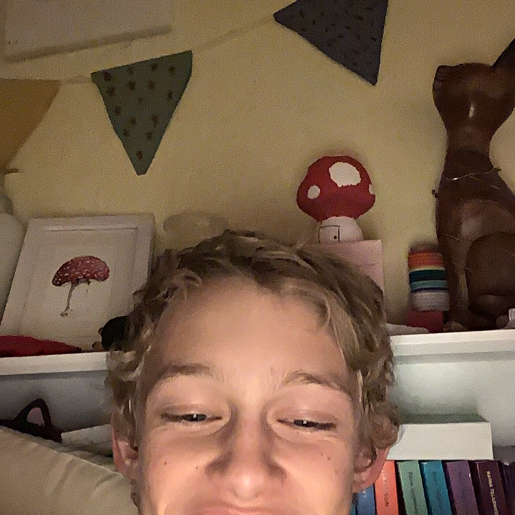 Tomato Plant plant photo by Garrett named bhjjjhhjjj on Greg, the plant care app.