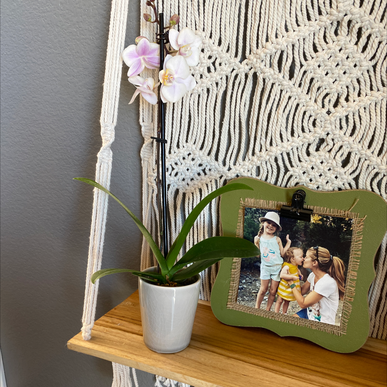 Purple Ground Orchid in a white pot on a wooden shelf with a framed photograph in the background.
