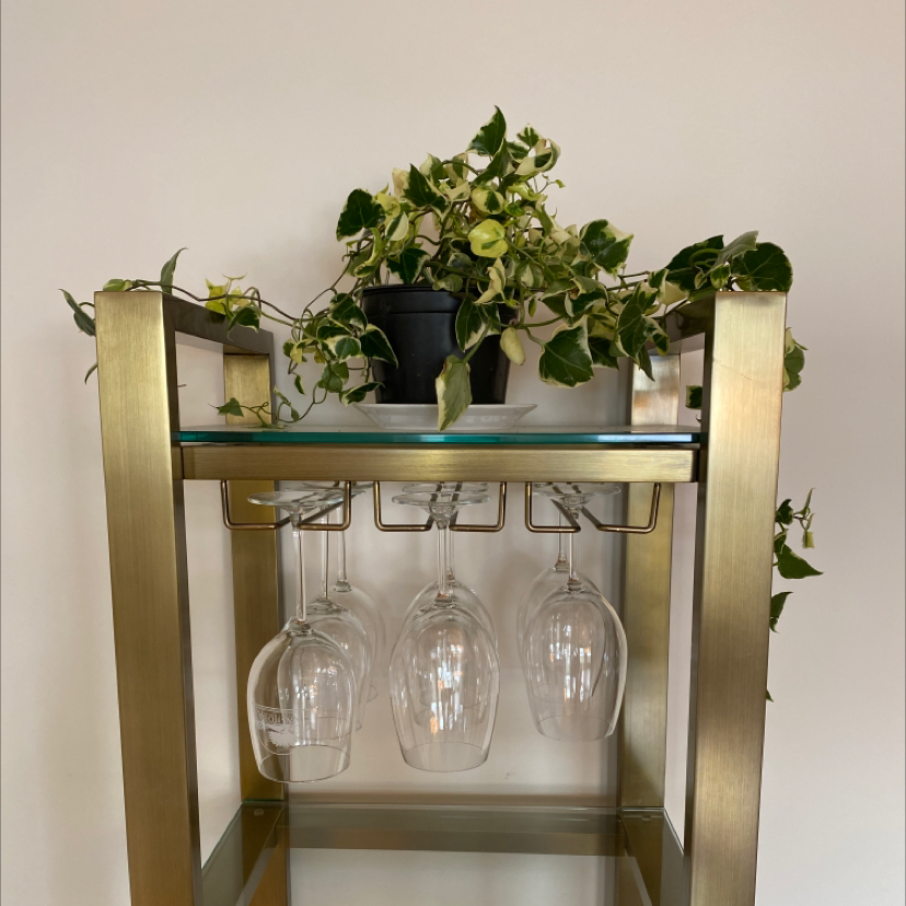 Variegated Wax Ivy plant on a shelf with some yellowing leaves.