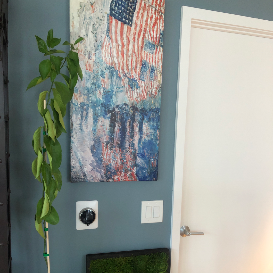 Photo of the plant species Meyer Lemon Tree by @Alexsun named John Lemon on Greg, the plant care app