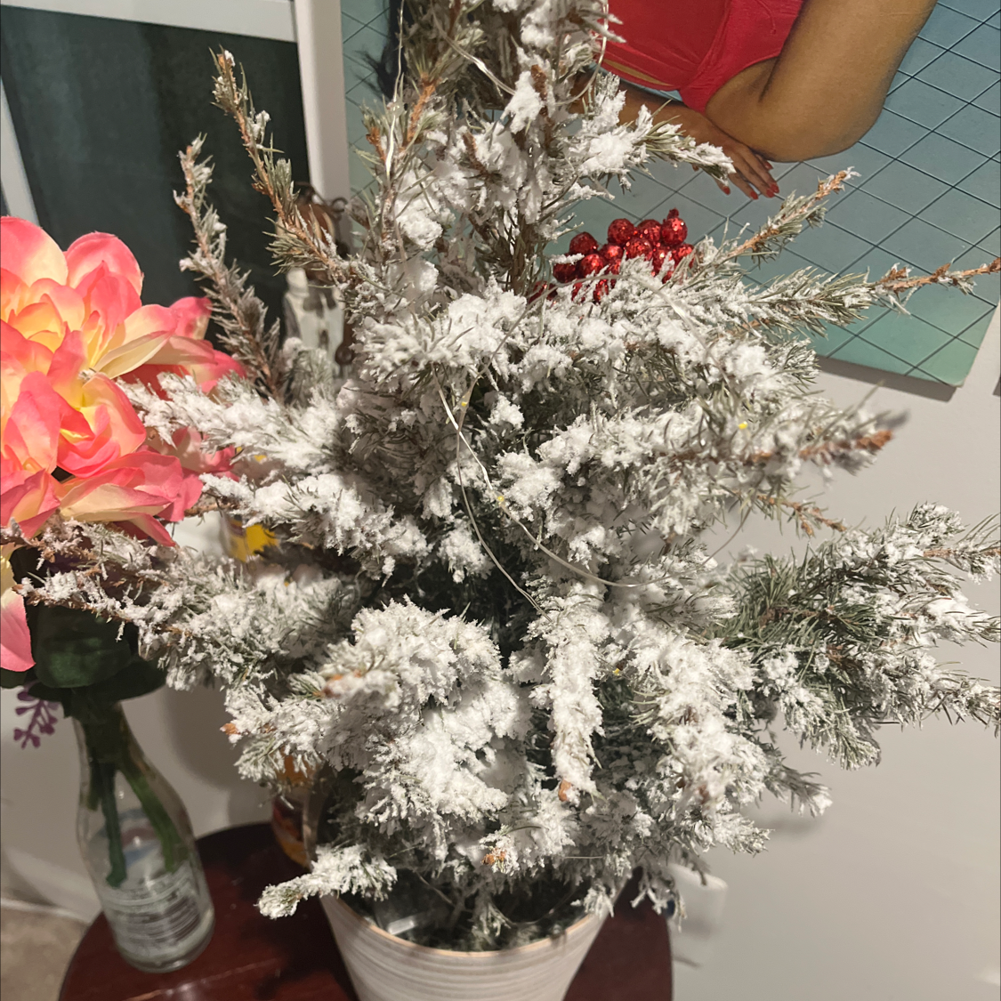 Photo of the plant species Beach Wormwood by @NimblePeyote named jizzebelle on Greg, the plant care app