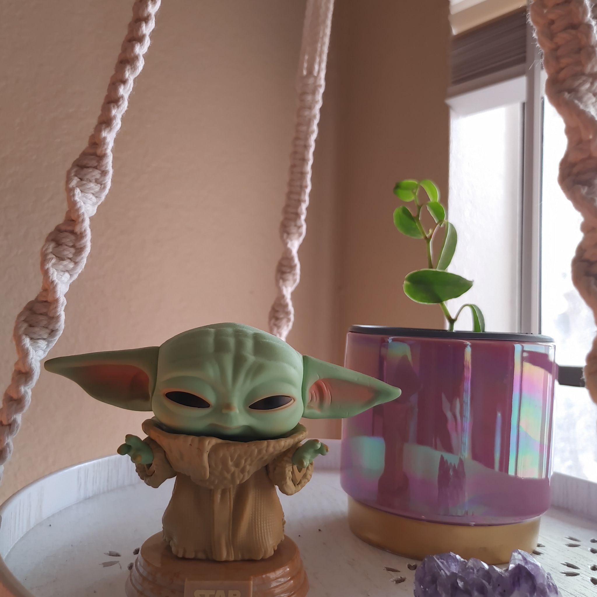 Twisted Lipstick Plant in a purple pot on a shelf next to a figurine.