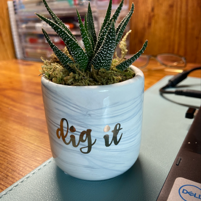 Plant care for Green Okra on Greg, the plant care app