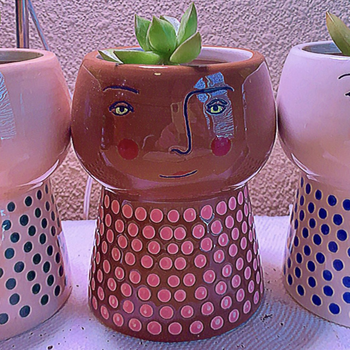 Sedum adolphi 'Golden Glow' plant in a decorative pot with a face design.