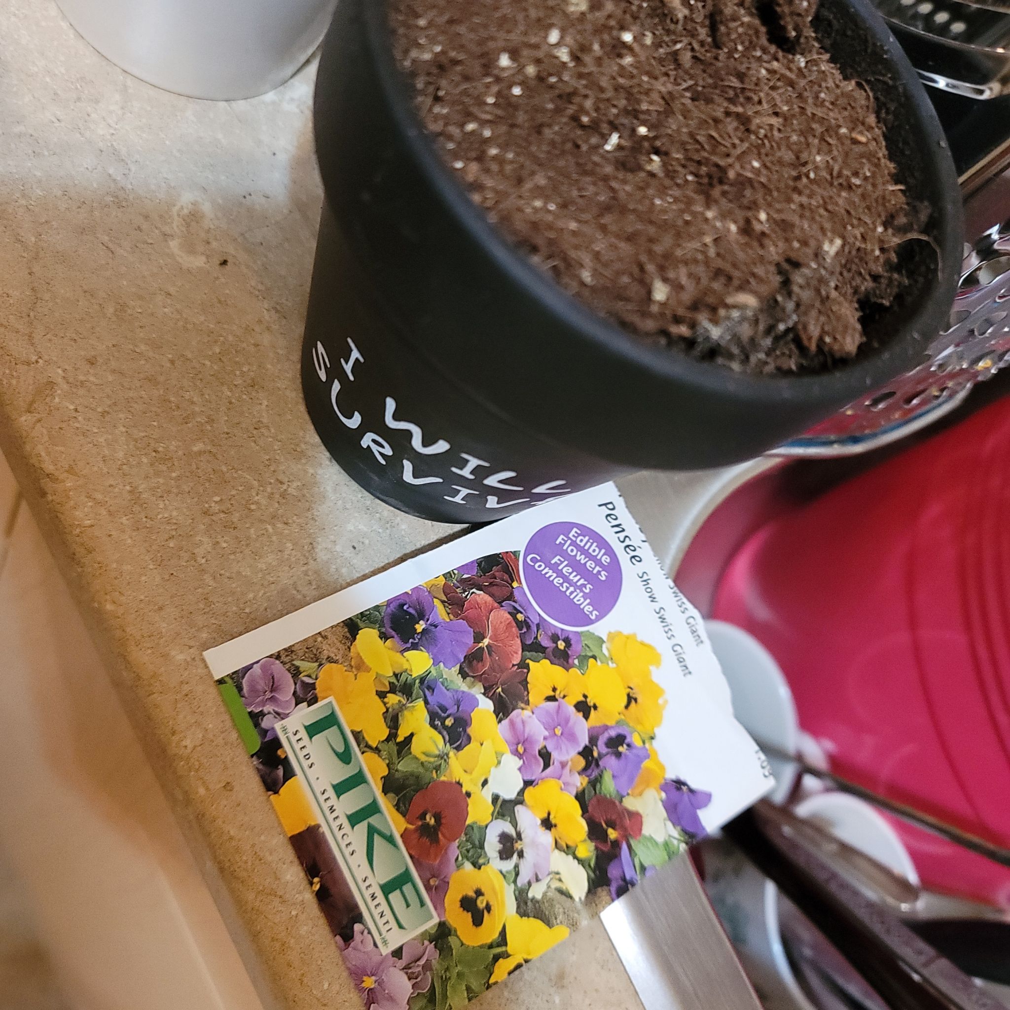 Potted soil with a seed packet labeled 'Purple Coneflower' on a counter.