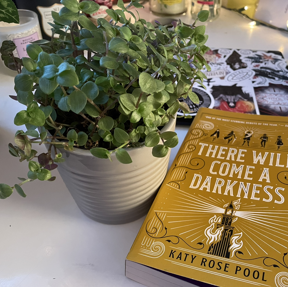 A healthy, vibrant Creeping Inch Plant with dense green foliage in a small white ceramic planter, next to a book.