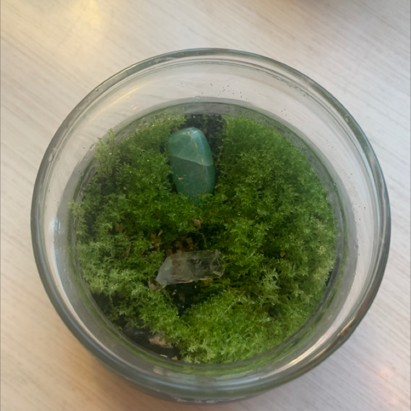 Plant care for Polytrichum torquatum on Greg, the plant care app