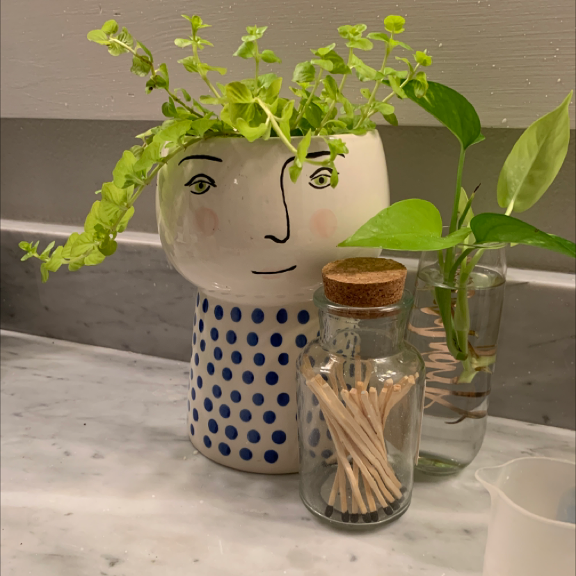 Creeping Jenny plant in a decorative pot with a face design, alongside other items on a marble surface.