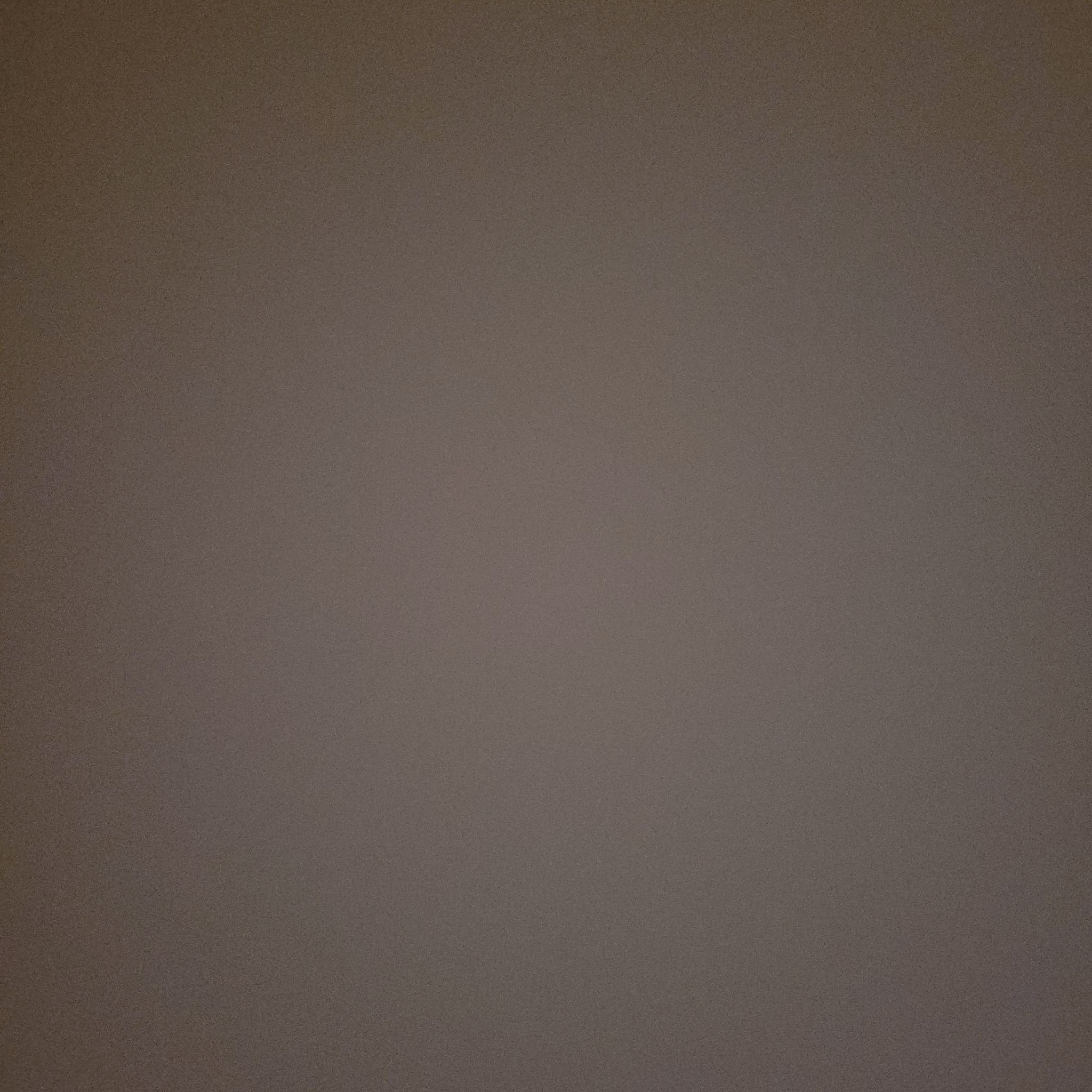 Plant care for Miconia arboricola on Greg, the plant care app