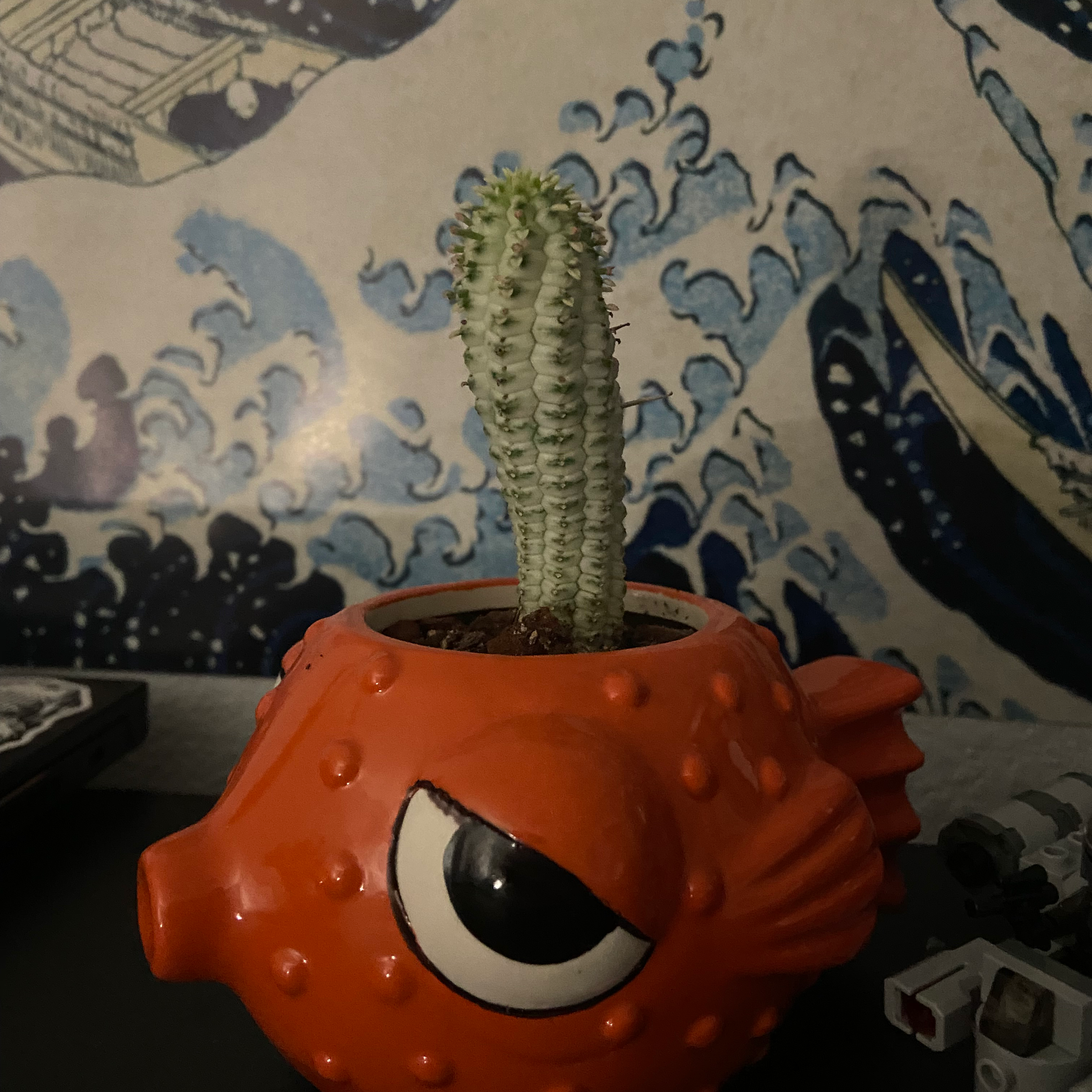 Corncob Cactus in a fish-shaped pot with wave pattern artwork in the background.