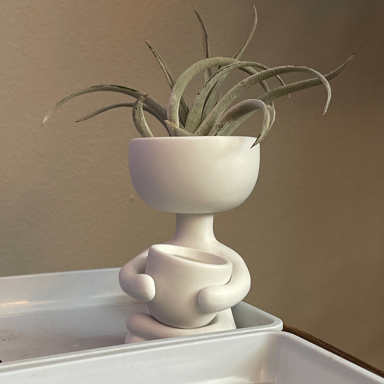 Spreading Airplant in a human-shaped pot, well-framed and in focus.
