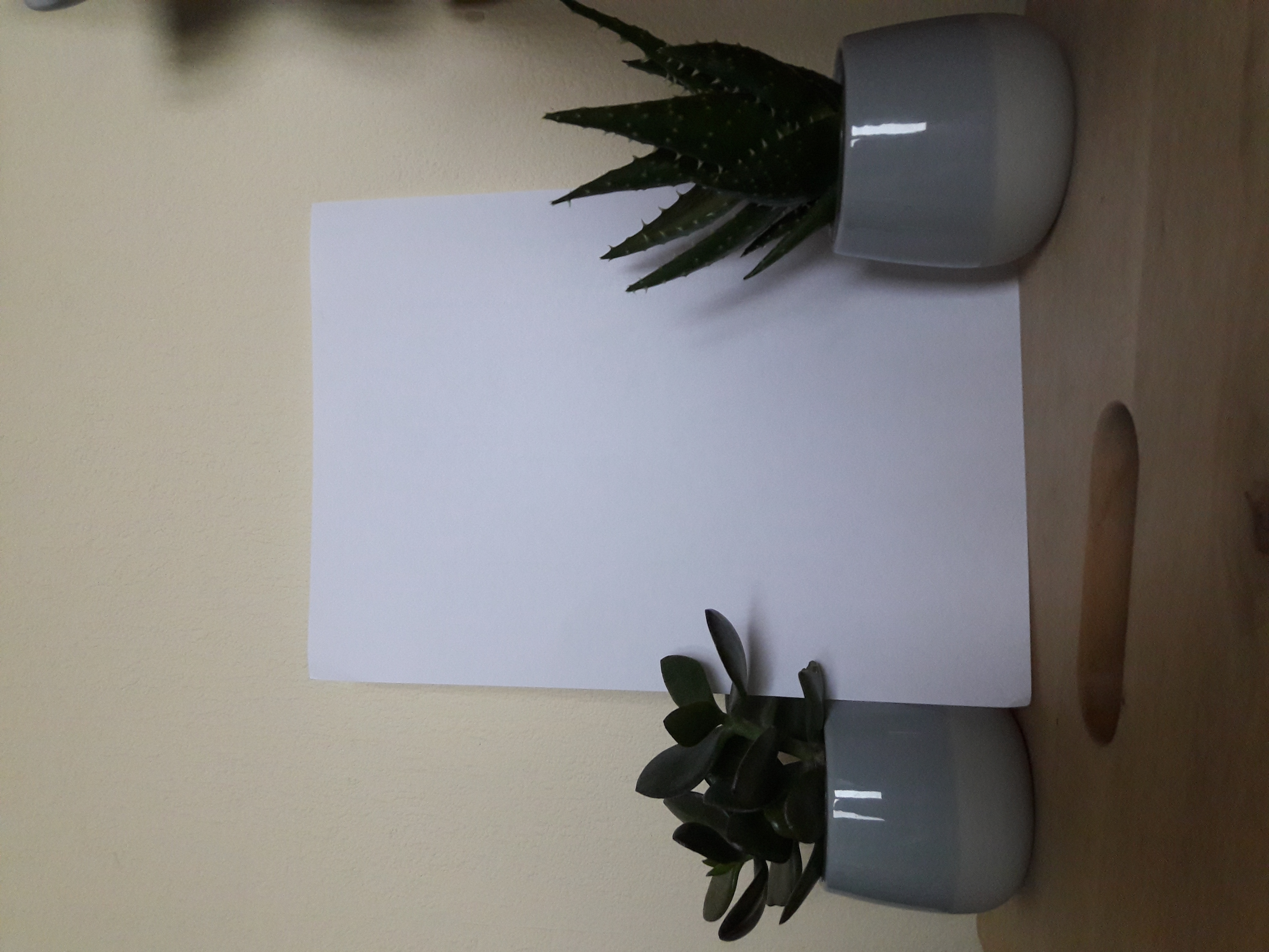 Photo of the plant species Crassula 'Curly Grey' by @EclecticAvocado named Jeffrey on Greg, the plant care app