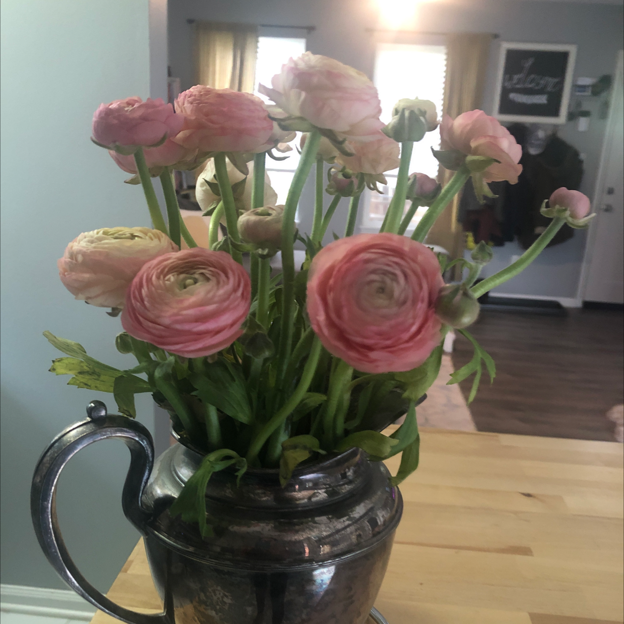 Bouquet of Garden Ranuncula flowers in a metallic vase with vibrant pink and white petals.