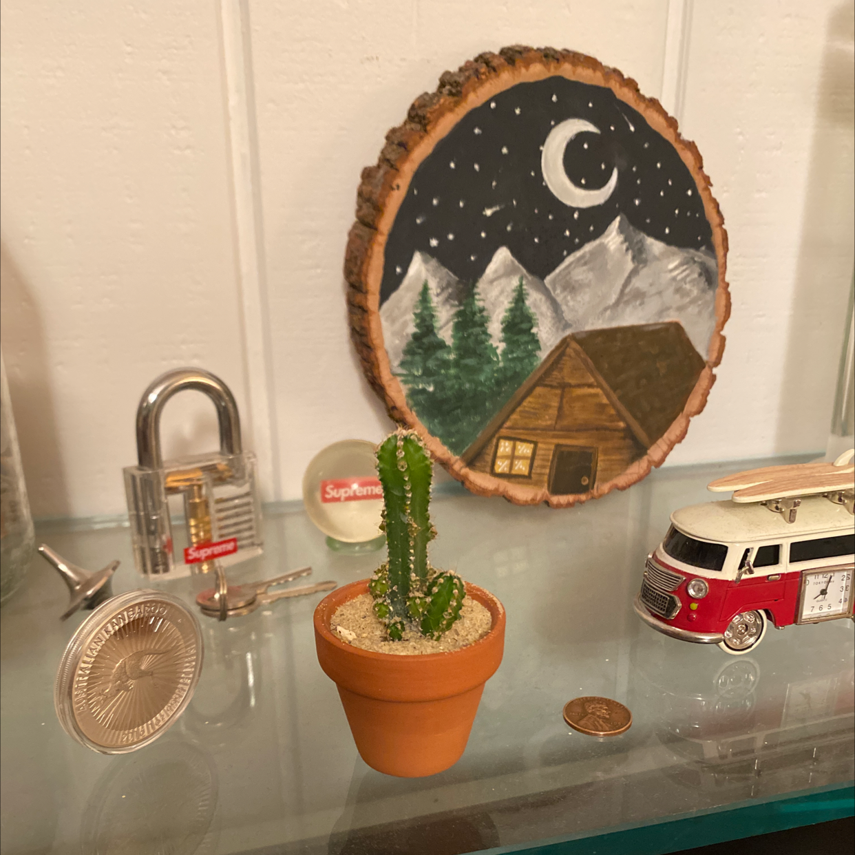 Fairy Castle Cactus in a terracotta pot with decorative items in the background.