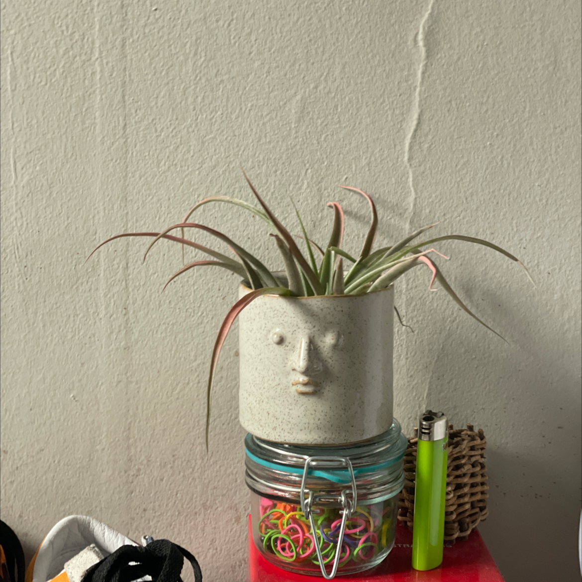 Spreading Airplant in a face-shaped pot, surrounded by various objects.