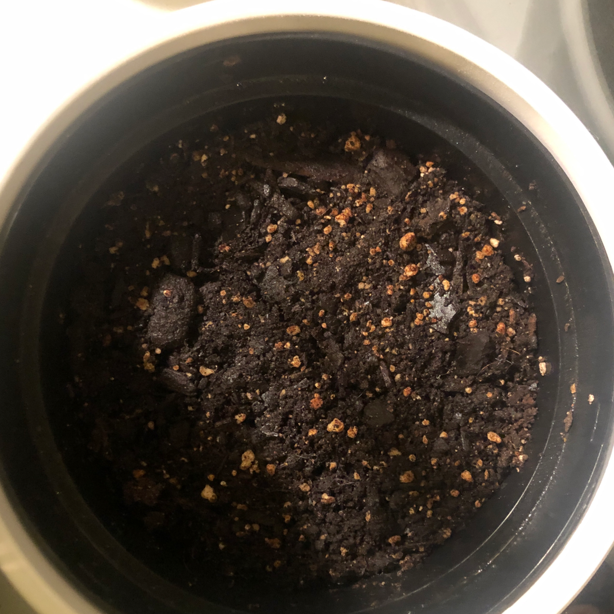 Photo of the plant species Strawberry by @ezzie named pls sprout babes on Greg, the plant care app