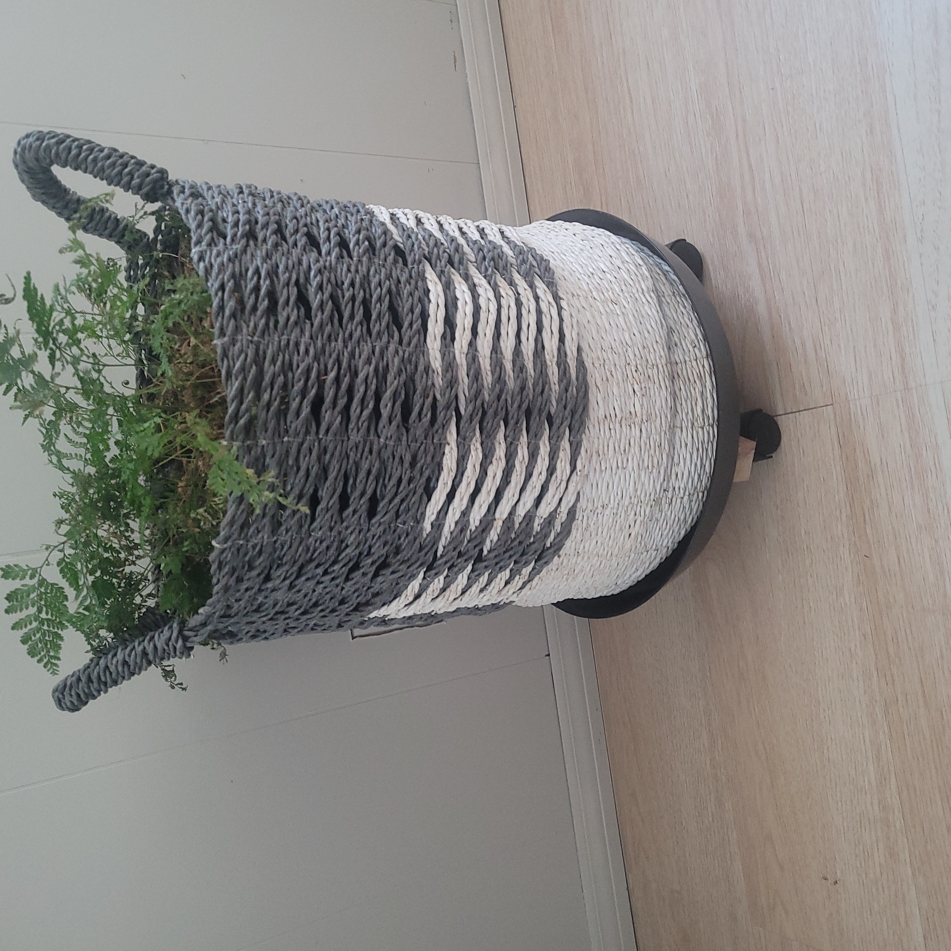 Silk Tree plant in a woven basket on a wooden floor.