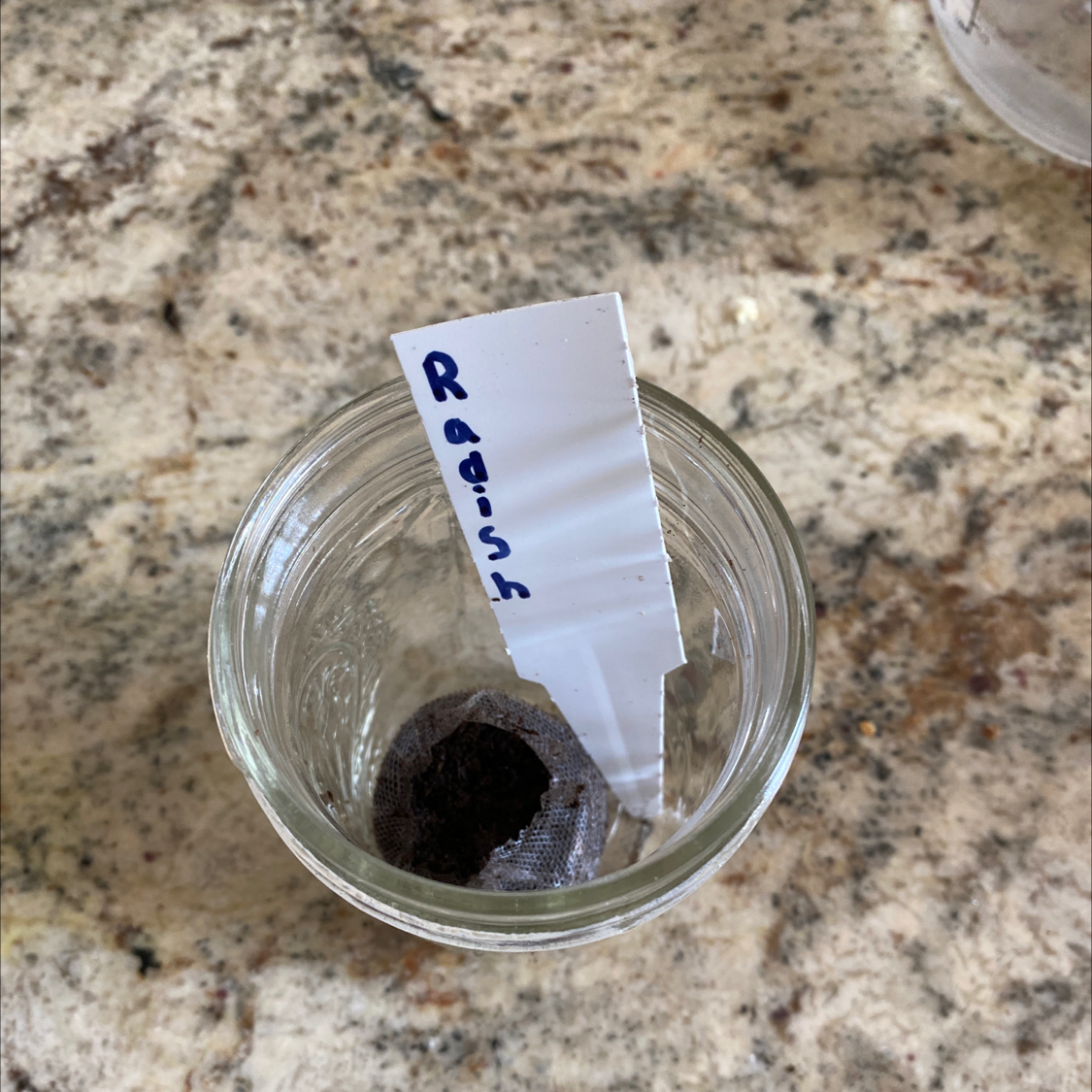 Glass jar labeled 'Radish' with soil or seed starter inside.