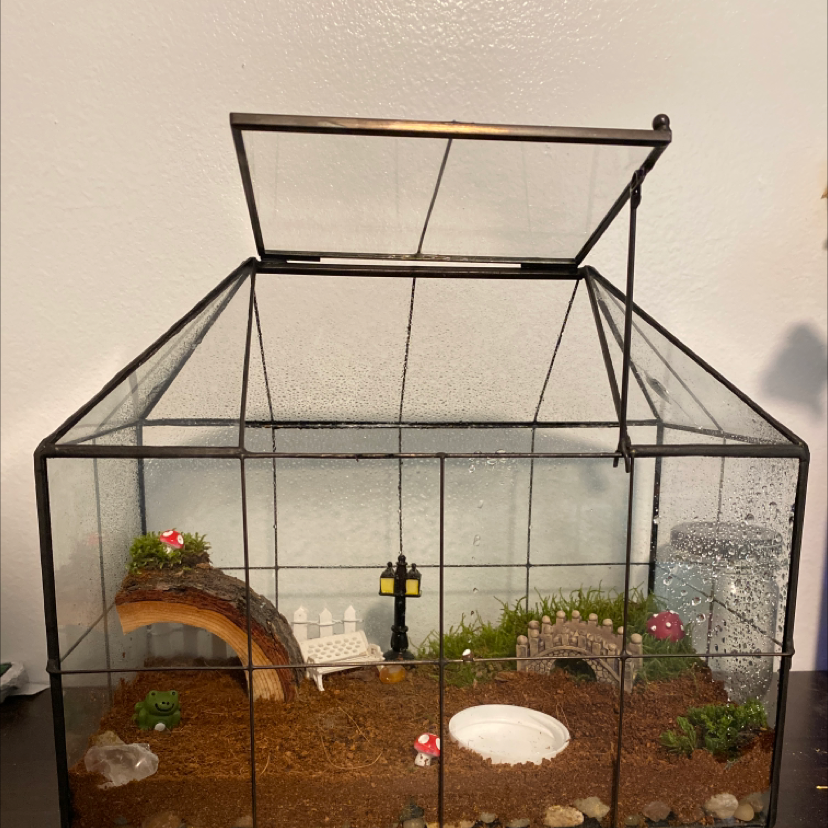 A glass terrarium with healthy club moss, rocks, and decorative elements arranged in a miniature garden scene.