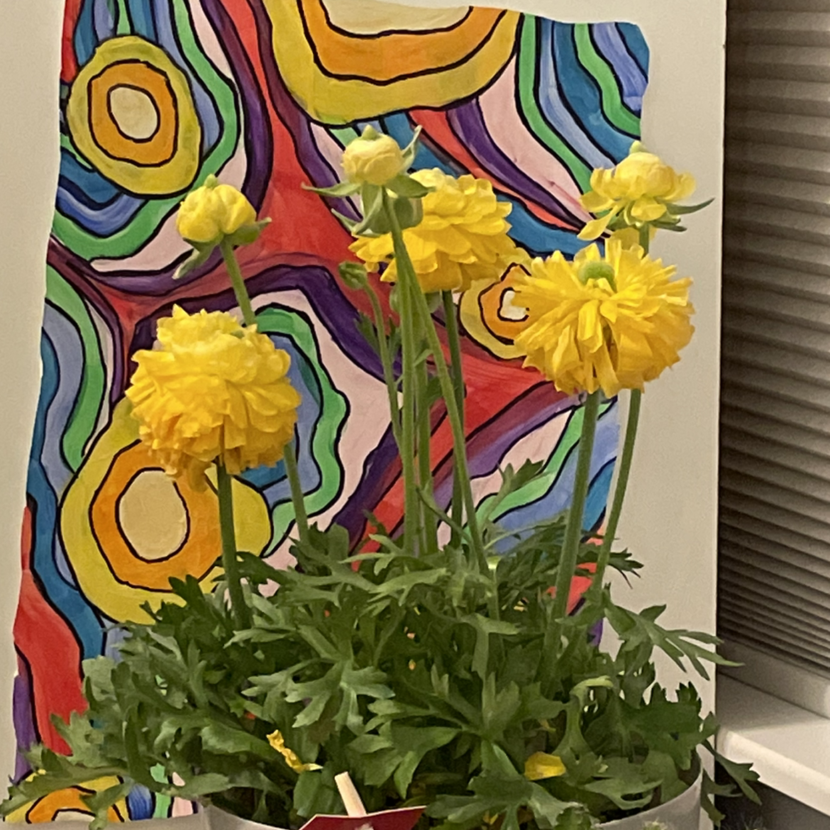 Garden Ranuncula plant with yellow flowers and a colorful abstract painting in the background.