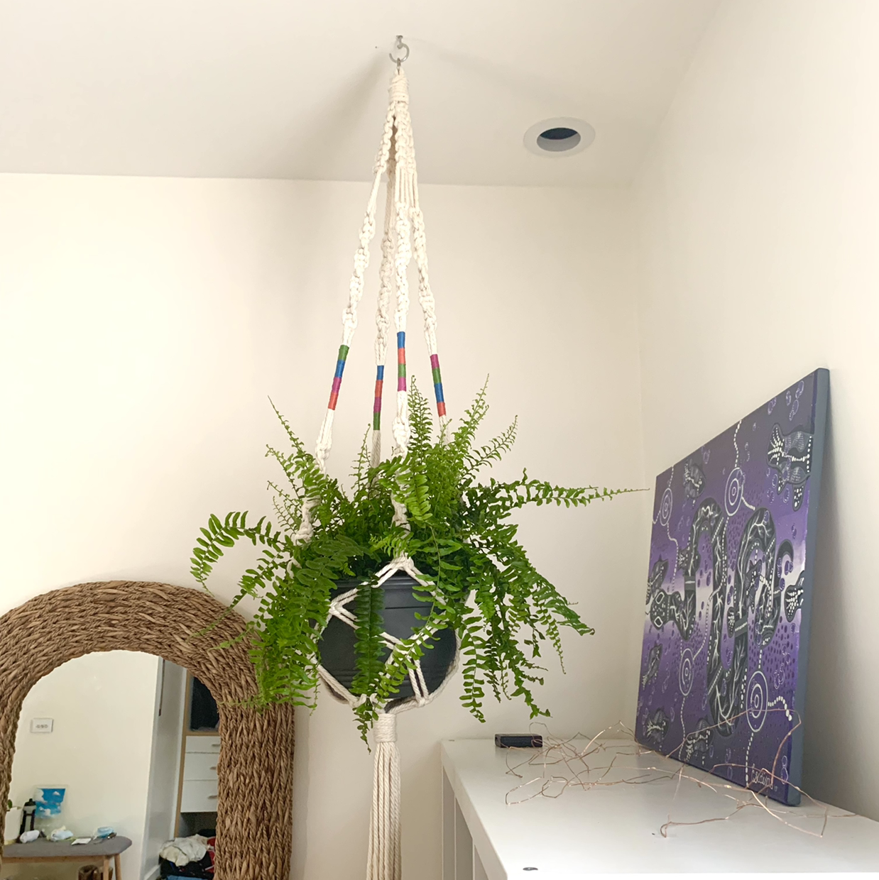 Photo of the plant species Boston Fern by @siennasplantheaven named gaga on Greg, the plant care app