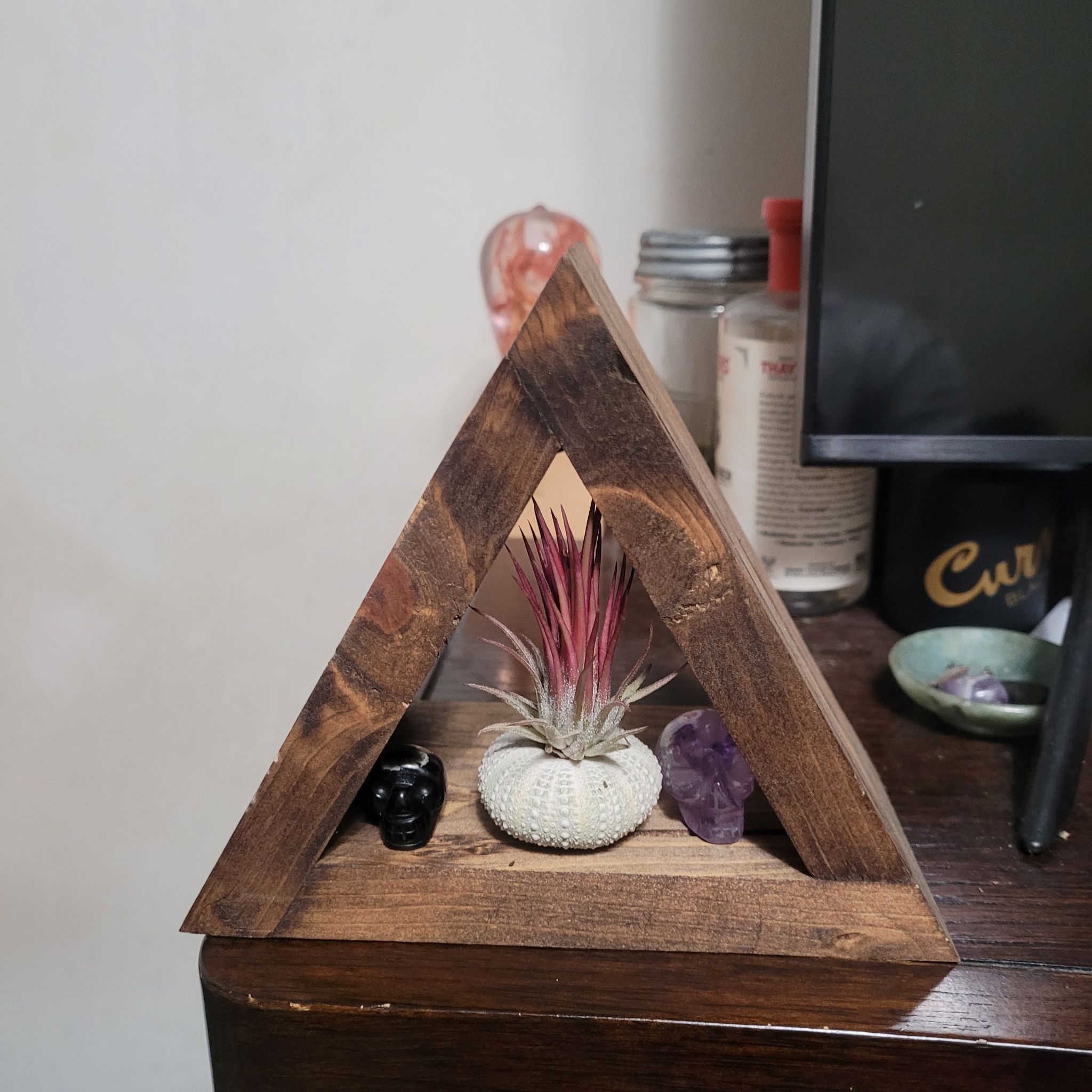 Photo of the plant species Tillandsia fuego by @LightPepino named Flamer on Greg, the plant care app