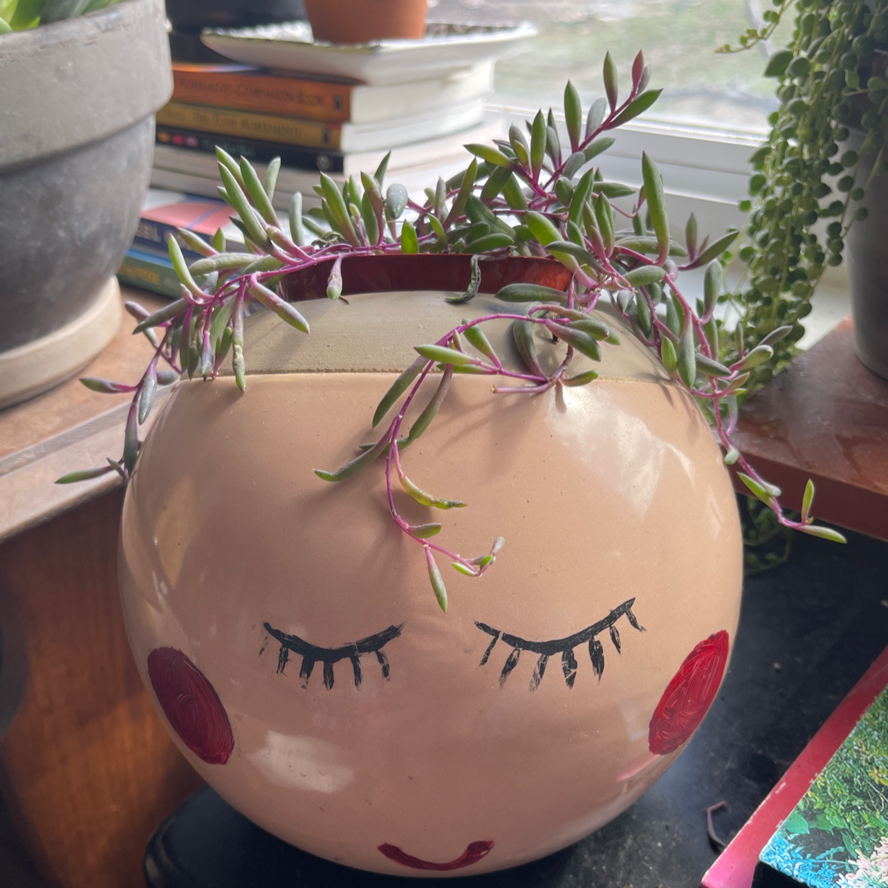 Ruby necklace plant in a decorative pot with a face design, healthy elongated succulent leaves.