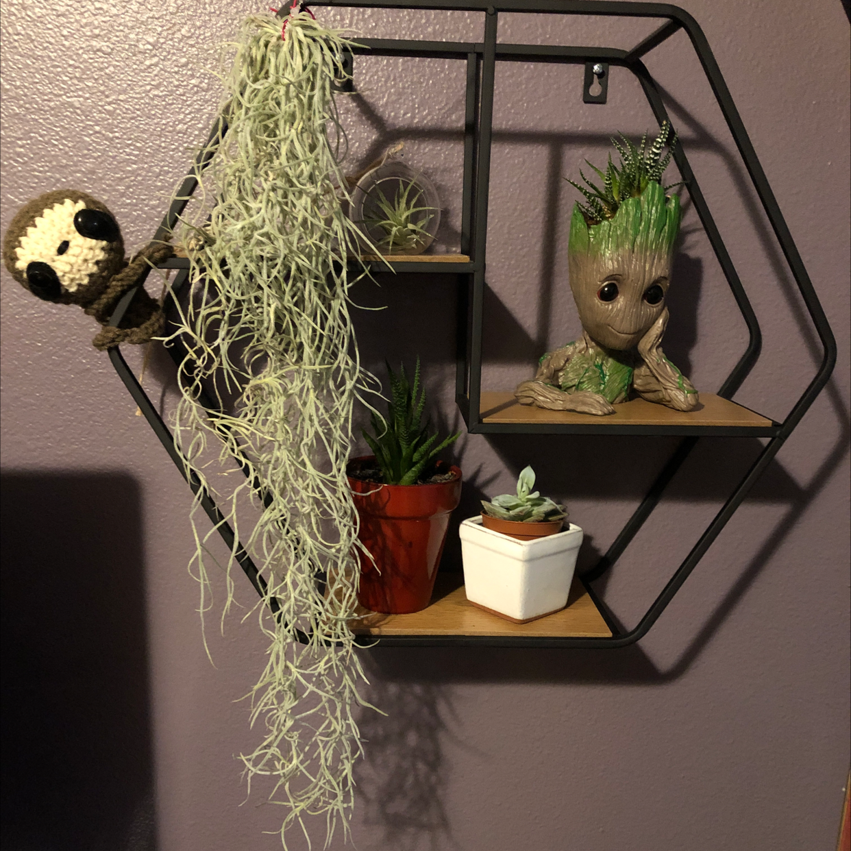 Spanish Moss hanging from a shelf with other decorative items and plants.