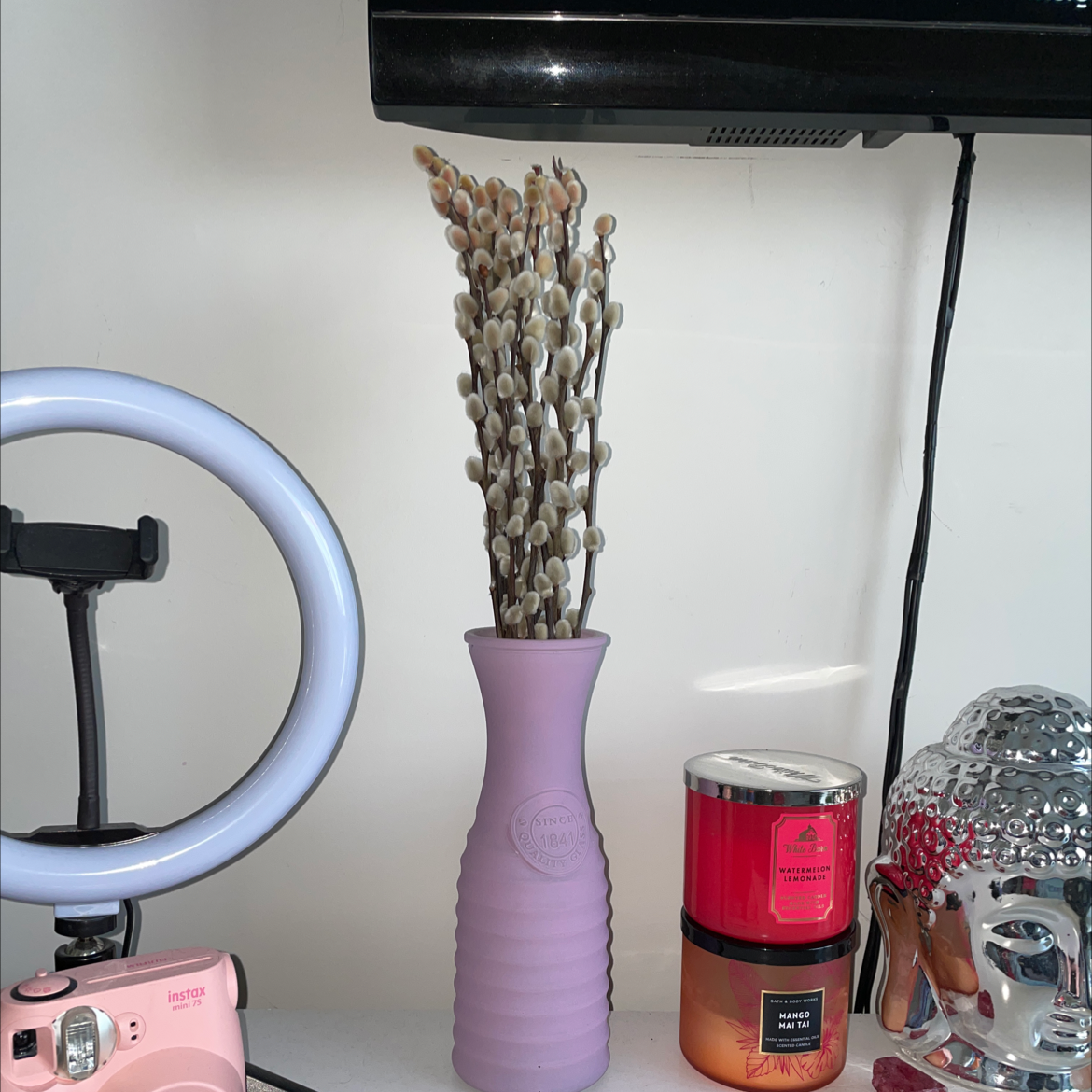 Pussy Willow plant in a purple vase, surrounded by various objects.