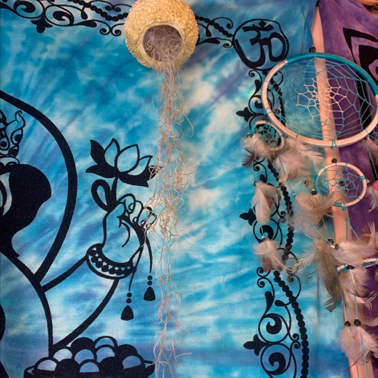 Spanish Moss plant hanging against a colorful tapestry background.