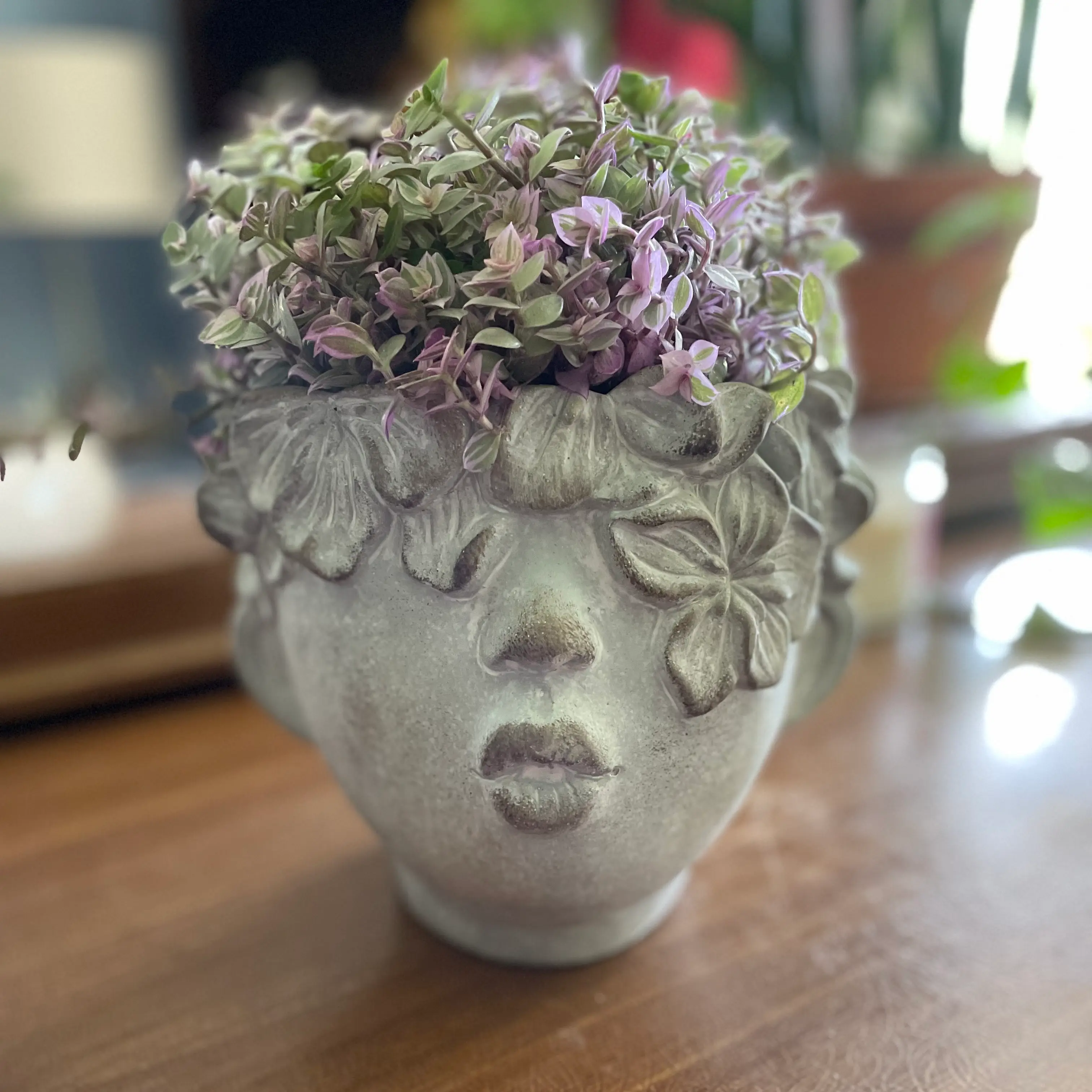 A thriving Creeping Inch Plant with plum foliage growing densely out of a whimsical face-shaped ceramic planter.