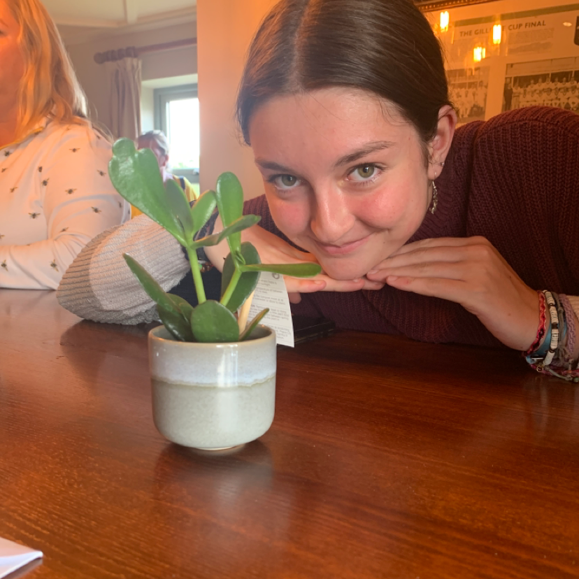 Lucky Plant plant photo by @Emilyt_1 named Nibble on Greg, the plant care app.