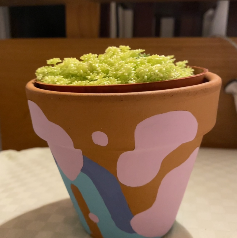 Potted Tokyo Sun Stonecrop plant with vibrant green foliage in a colorful painted pot.