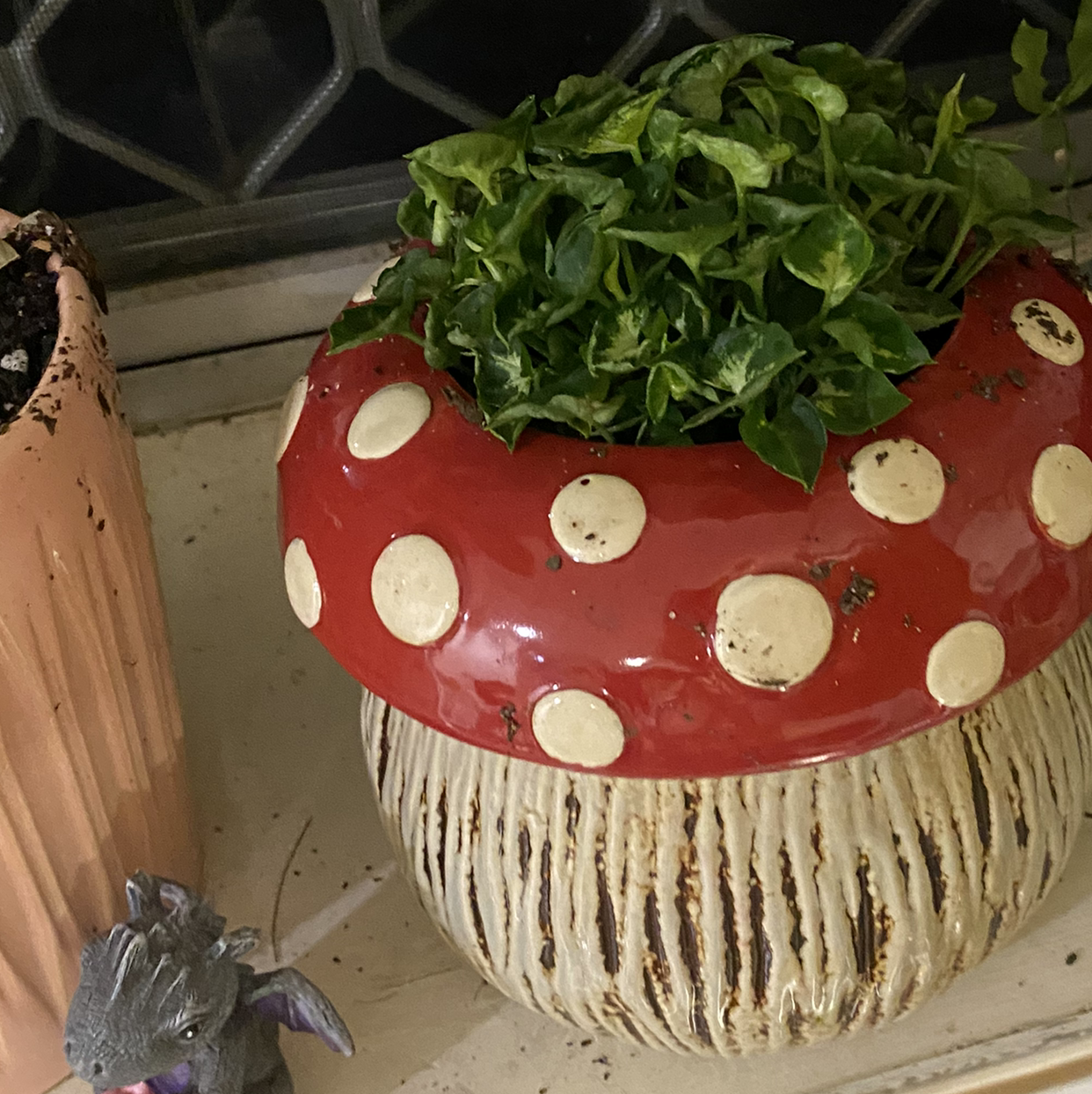 Photo of the plant species Syngonium 'Mini Allusion' by Plant parent named Roomy on Greg, the plant care app