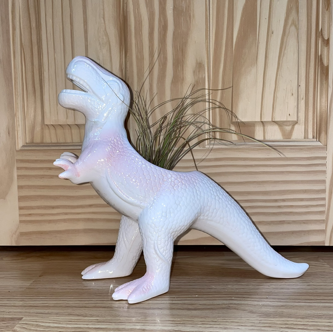 Houston Air Plant plant photo by @kellyshea named ZZ - Dino on Greg, the plant care app.
