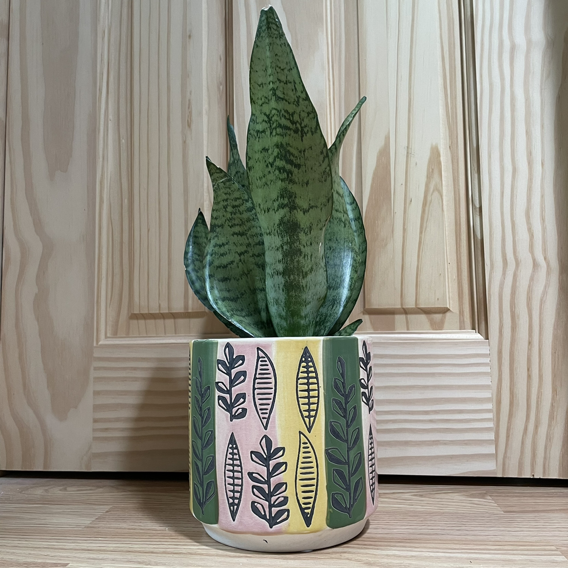 Snake Plant plant photo by @kellyshea named Asclepius on Greg, the plant care app.