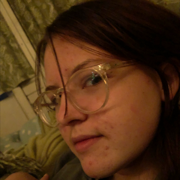 Drummond's Maple plant photo by Teeg named daisy maisy on Greg, the plant care app.