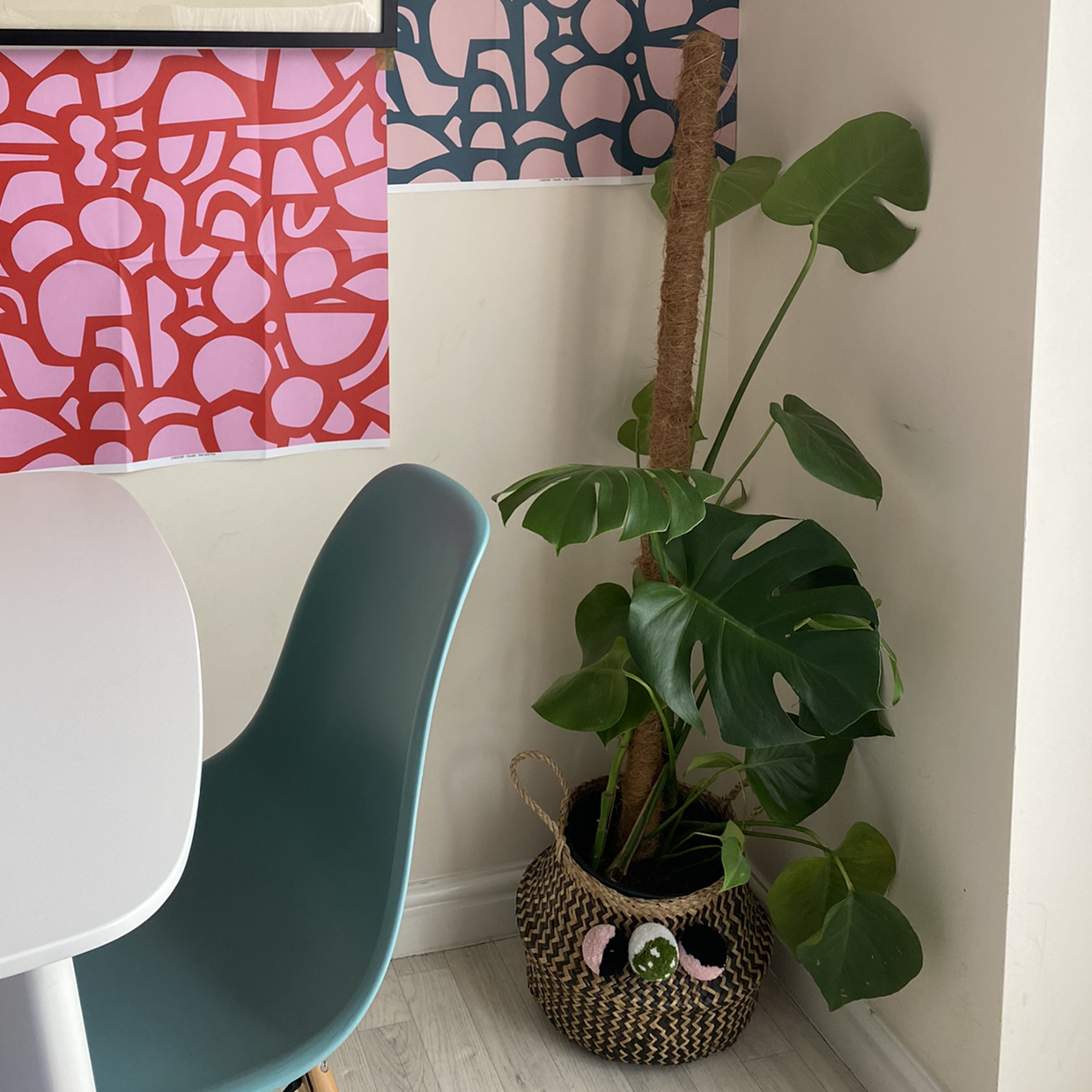 Monstera plant photo by @heytezzy named Forrest on Greg, the plant care app.