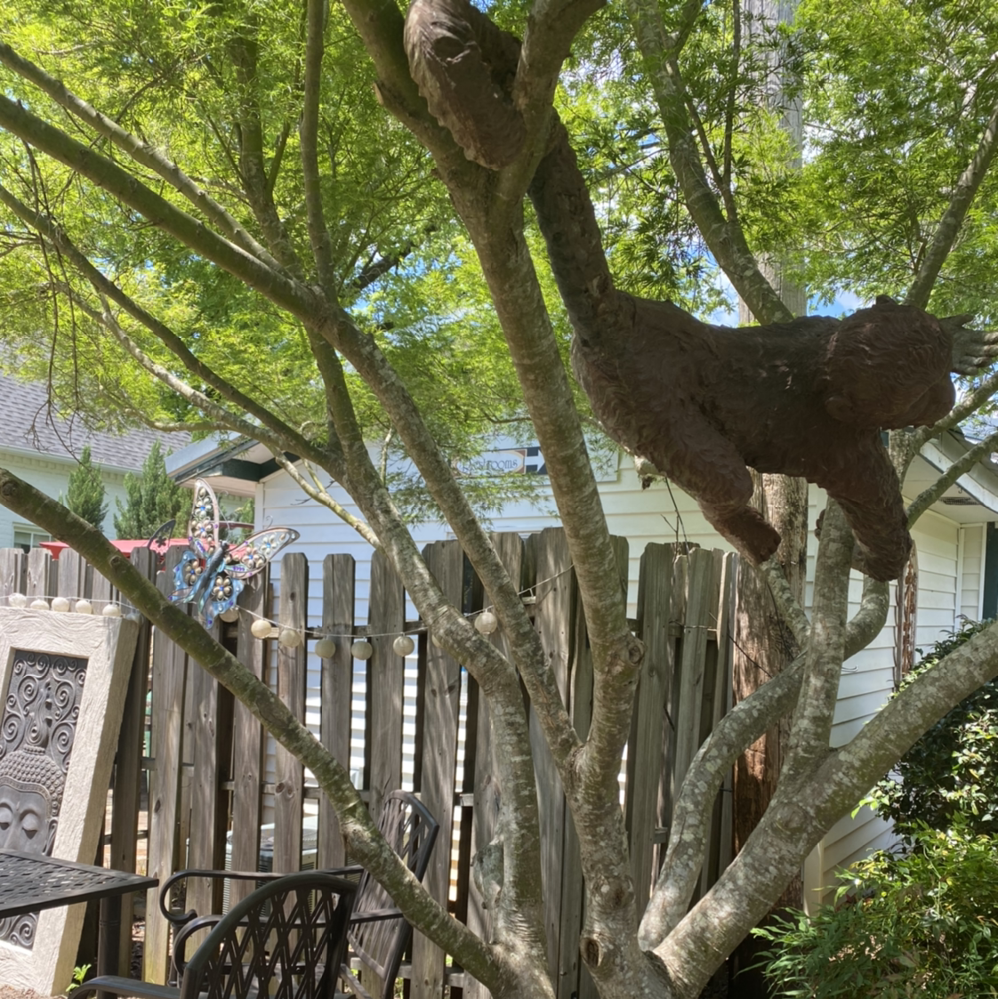 Japanese Maple tree with green leaves and a decorative sculpture attached.