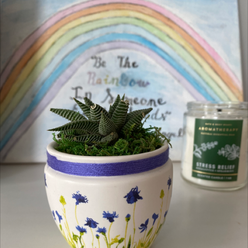 Fairy Washboard plant photo by @Corinna_mae named Lavender on Greg, the plant care app.