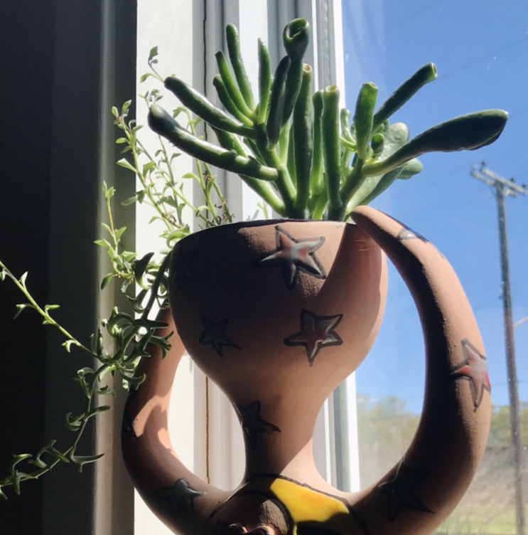 Photo of the plant species Finger Jade by @Nataleaf named Moebius on Greg, the plant care app