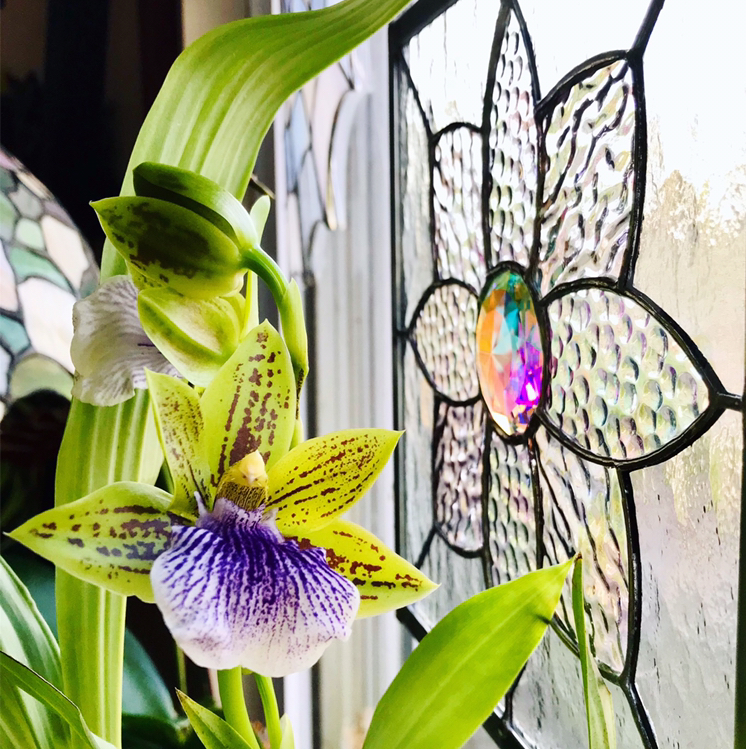 Photo of the plant species Zygopetalum Orchid by @Nataleaf named Sweet Jade on Greg, the plant care app